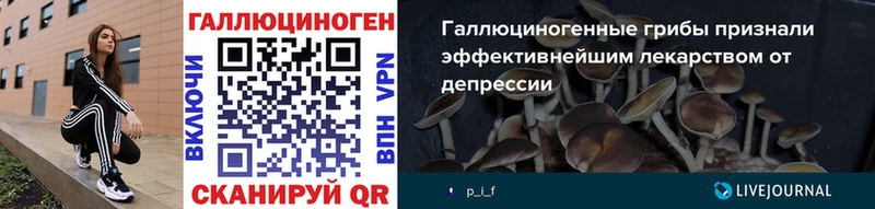 Галлюциногенные грибы Psilocybe  как найти закладки  Городец 