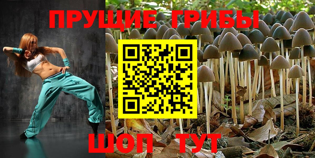 Городец  Псилоцибиновые грибы Magic Shrooms  Вход с VPN  Галлюциногенные грибы мухоморы 