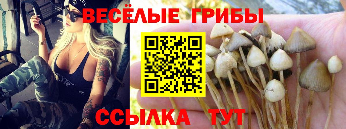 Галлюциногенные грибы прущие грибы Городец